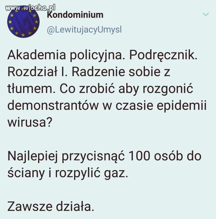 Akademia policyjna . 