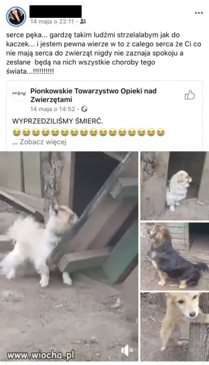 Miłość do zwierząt 