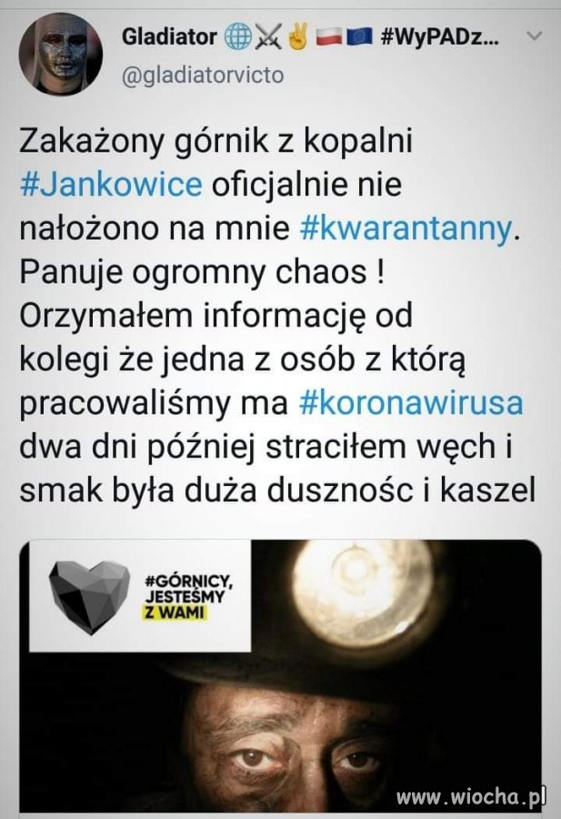 Dzięki rządowi 