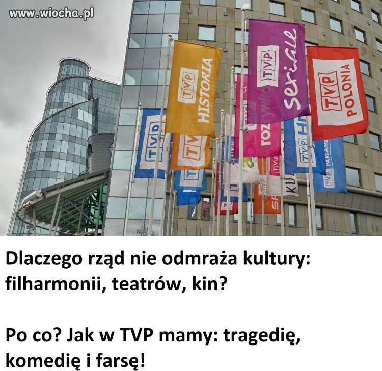 Wysoka kultura