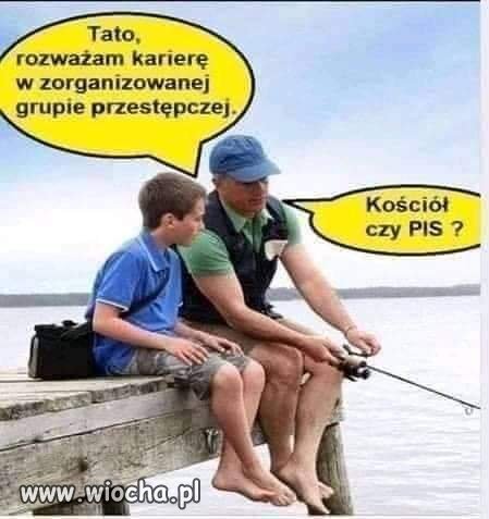 Grupy przestępcze w Polsce?