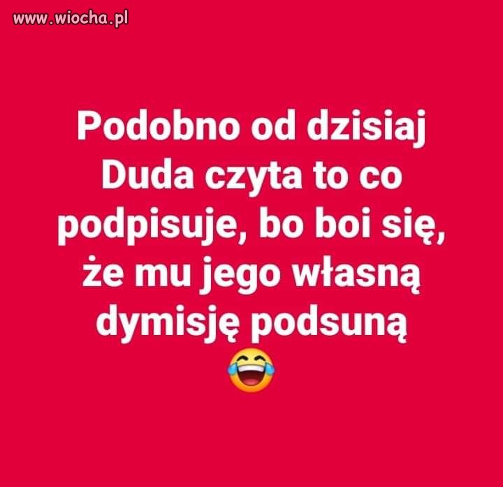 Niech czyta