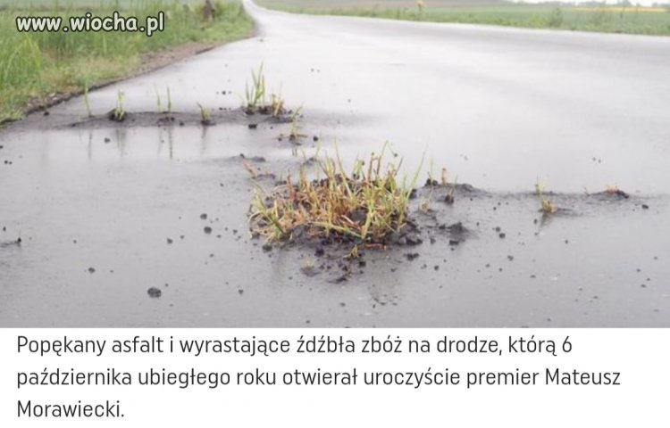 Klęska urodzaju w Polsce