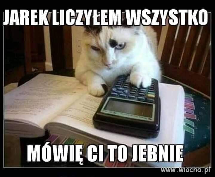 Kot mądrzejszy od swojego pana...