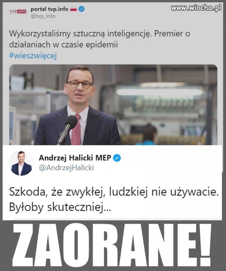 Oby nie wykorzystali