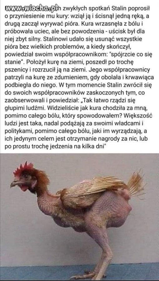 Polityka...