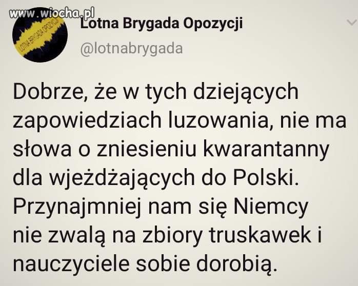 Bez tytułu. 