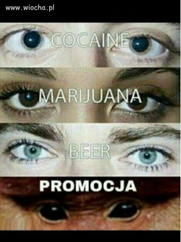 Janusz