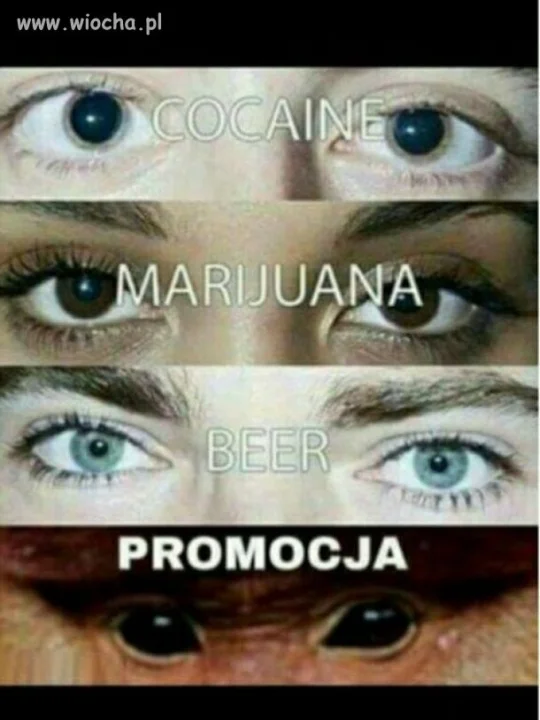 Janusz