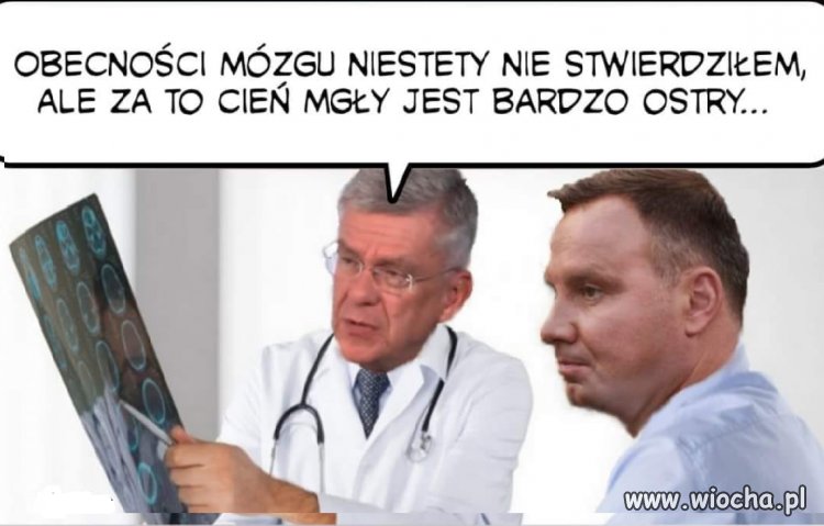 Z faktami