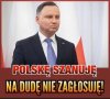 Tytuł zbędny