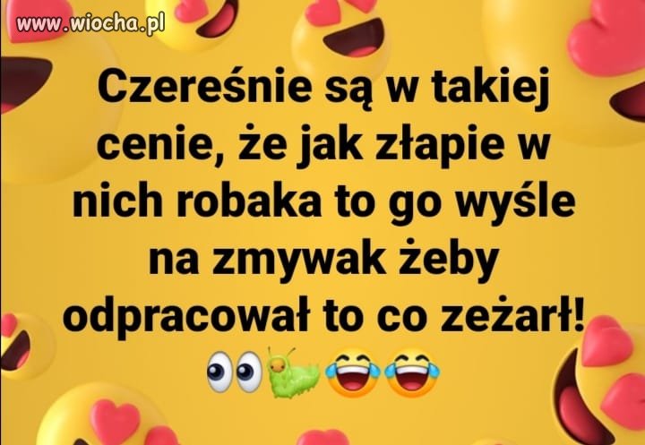 Przekaz dnia