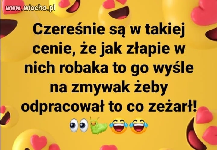 Przekaz dnia