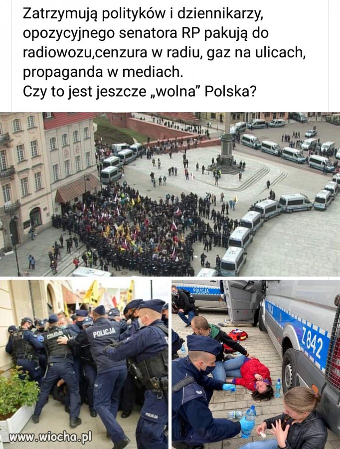 Pisowska policja 