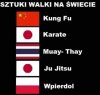 Sztuki walki
