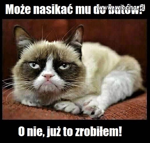 Bez tytułu.