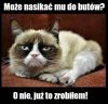 Bez tytułu.
