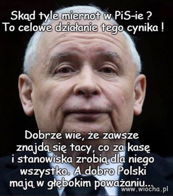 Trzeba poczytać jak Adolf