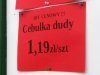 Cebulka Dudy