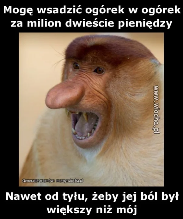 Mogę wsadzić ogórek w ogórek