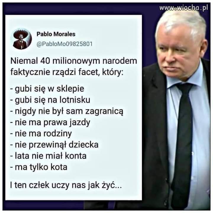 Bez komentarza 