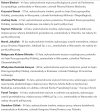 Dziś wybory prezydenckie bez możliwości głosowania
