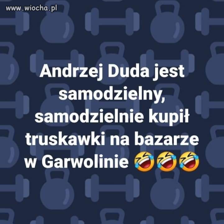 Samodzielny prezydent. 