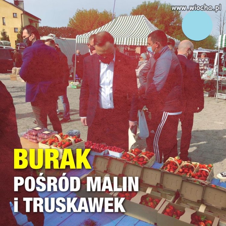 Scenka z kampanii wyborczej ...