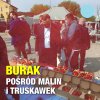 Scenka z kampanii wyborczej ...