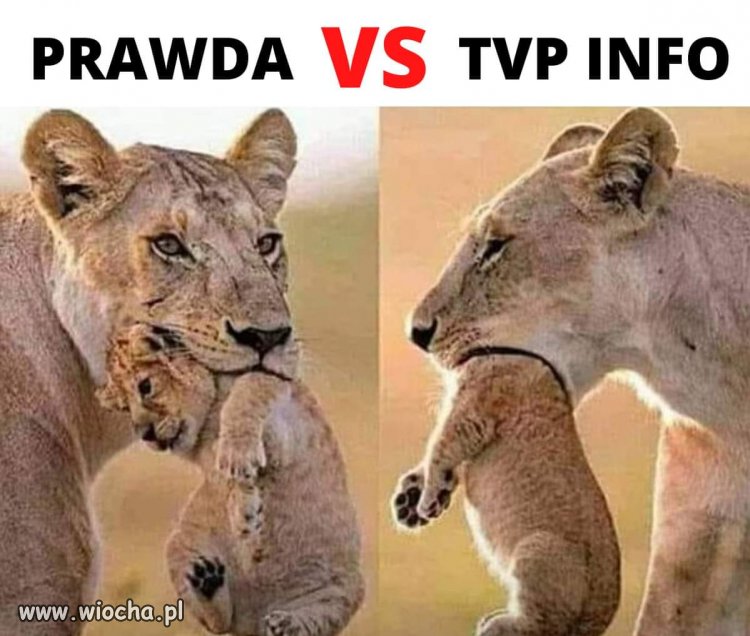 Dokładnie tak. 