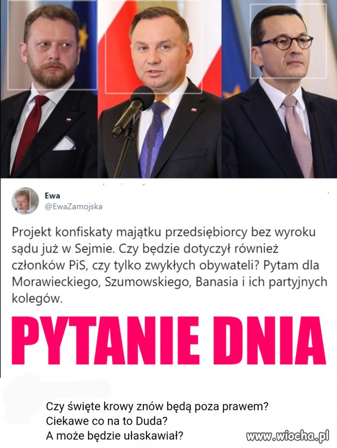 Pytanie dnia 