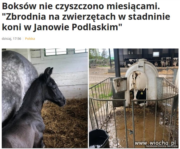 Funkcjonowała 200 lat, aż przyszła "dobra zmiana"