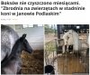 Funkcjonowała 200 lat, aż przyszła "dobra zmiana"