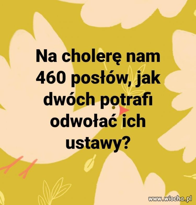 Po co przepłacać ?