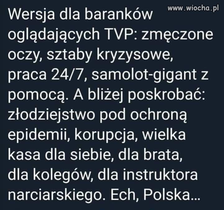 Telewizja Polska