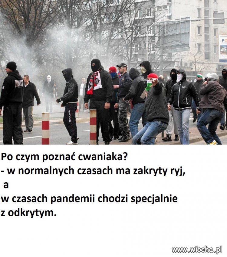 "Kryj ryj"