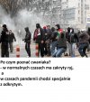 "Kryj ryj"