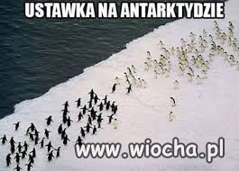 Ustawka na Antarktydzie