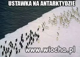 Ustawka na Antarktydzie