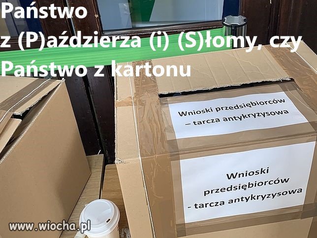 Państwo z Paździerza i Słomy czy Państwo z Kartonu