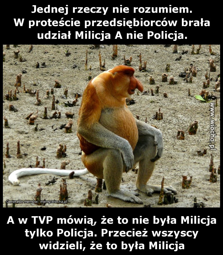 Jednej rzeczy nie rozumiem.
