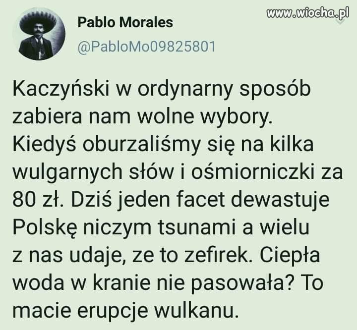 Wolne wybory? 