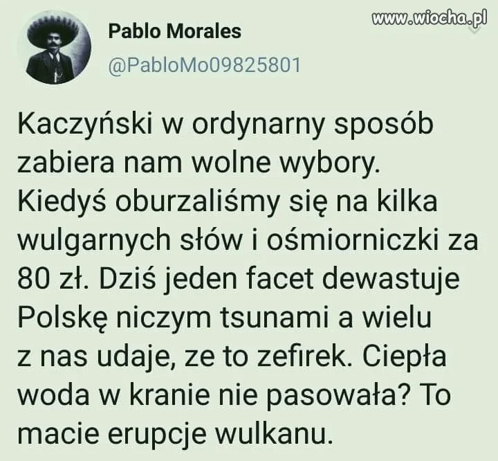 Wolne wybory? 