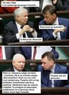 Tytuł zbędny