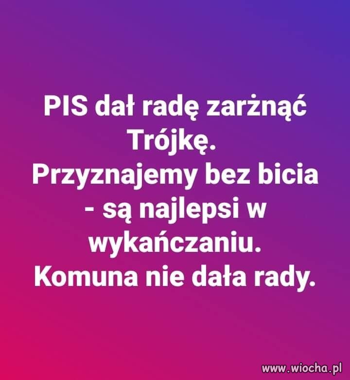 Komunę przetrwali