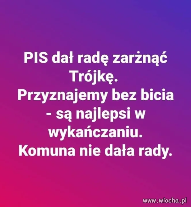 Komunę przetrwali