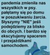 Pieskie życie...