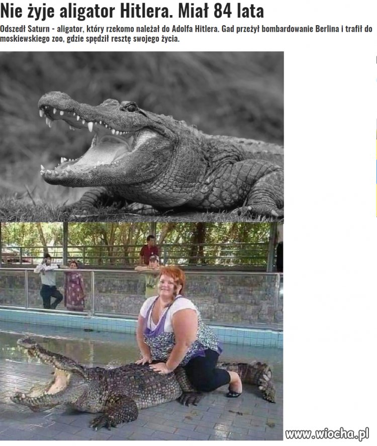 To se pożył bidoczek