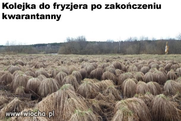 Wkrótce. 