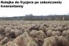 Wkrótce. 